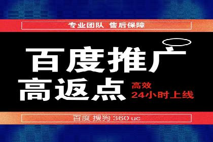 百度推广公司案例解析：如何利用百度推广实现快速转化